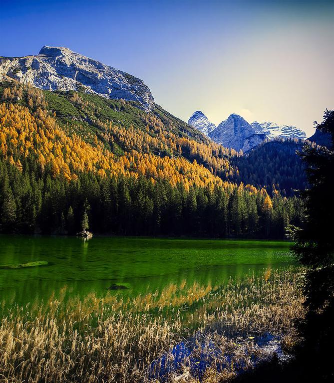Willa Dolomiti Di Brenta House 2 Madonna Zewnętrze zdjęcie