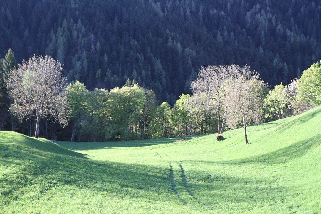 Willa Dolomiti Di Brenta House 2 Madonna Zewnętrze zdjęcie